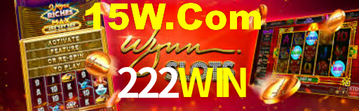 Programa VIP 222WIN